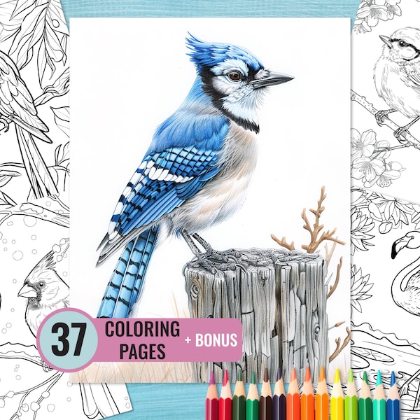 Birds Coloring Book, 37 Printable Feathered Pages for Adults and Kids, Fowl Coloring Page, Instant Download