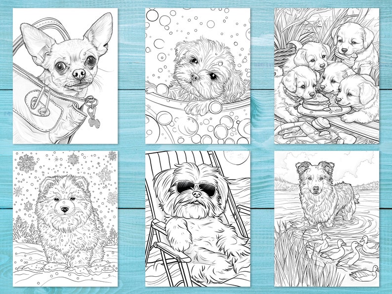 Pode incluir: Um conjunto de seis p&aacute;ginas para colorir em preto e branco com diferentes ra&ccedil;as de c&atilde;es. Os c&atilde;es s&atilde;o representados em v&aacute;rias poses e ambientes, incluindo um chihuahua em uma bolsa, um shih tzu em um banho de bolhas, um pomeranian na neve, um shih tzu em uma espregui&ccedil;adeira, um border collie em um lago e um grupo de filhotes comendo de um prato.