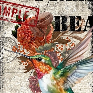 New 2024 Cool Beans Decoupage Paper - A3 Size 16.25 x 11.25 inches.- Three Design Sheets In one package   (Made by Marley)