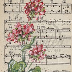 A4 Geranium of Love  *BONUS SPRING* | Decoupage Rice Paper | 8.5"x11.7" size | Connie’s Designs |