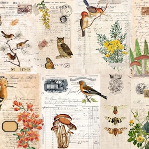 A New 2023 Fall Botanical Project Blocks  - Roycycled Decoupage Papers ROY 161 - Dollar Shipping Available