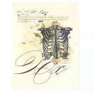 May include: A vintage-style illustration of a human rib cage with a green leafy background. The image is printed on a textured, off-white paper with handwritten text that reads "X-Ray" and "flon tagsinfos me of dietro magnitio radiation similar to light topshester andength and trating solide and XXX xx".