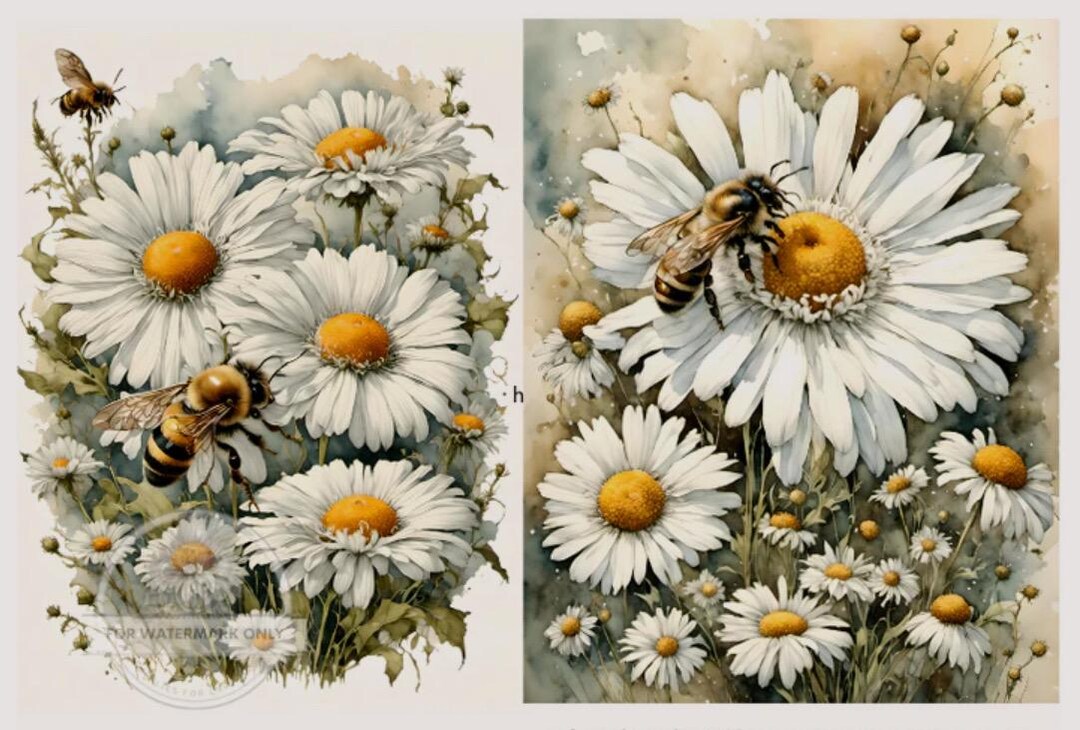 Bee And Rice Daisies and Bees Duo Rice Paper | Decoupage Central | DC513| A4 - 8.3 X ...