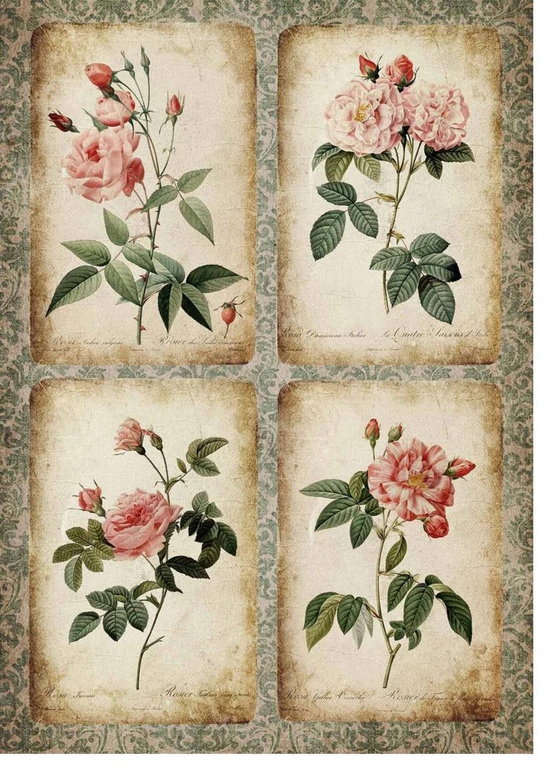 Decoupage Rice Paper-rose Cards RETIRED - Decoupage Paper -240 Flower ...