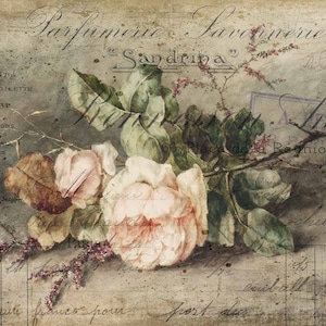 Decoupage Rice Paper-Sandrina  - Decoupage Paper - 235 Rose Vintage Flower Flora distressed