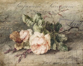 Decoupage Rice Paper-Sandrina  - Decoupage Paper - 235 Rose Vintage Flower Flora distressed