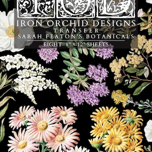 May include: A black background is filled with a variety of colorful floral illustrations. The text "IRON ORCHID DESIGNS TRANSFER SARAH FEATON'S BOTANICALS EIGHT 8" X 12" SHEETS" is displayed in white. The flowers include daisies, and other botanical designs.