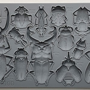 May include: A gray silicone mold with 10 different beetle shapes. The mold is labeled "SPECIMENS IOD" and includes measurements in milliliters and grams for each beetle.