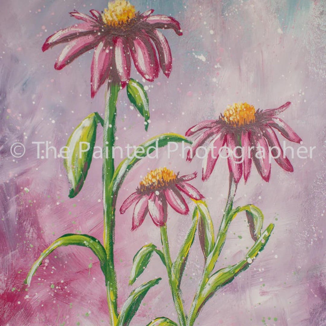 A4 Ahh Coneflower | Decoupage Rice Paper | 8.5