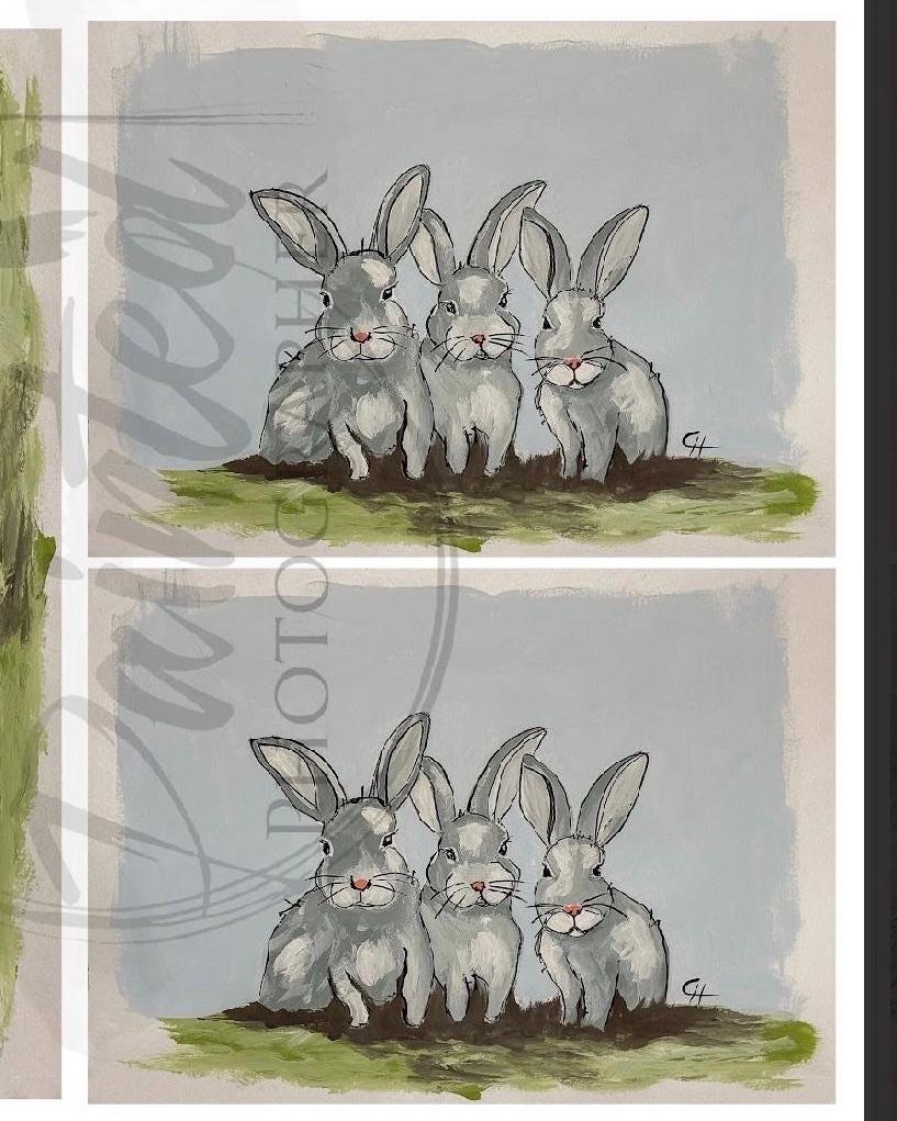 A4 Size *new 2026 | Triple Trouble Rabbits | Muliple Block Images on ...