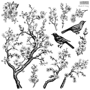 May include: Black and white illustration of a blooming cherry tree with two birds perched on branches. The image is titled "Shade & Song" and is from Iron Orchid Designs.