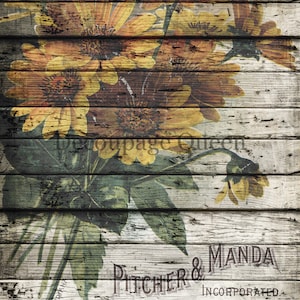 Decoupage Rice Paper ∙Pitcher and Manda - 0494 - Decoupage Queen Paper New Fall 2023 Papers - Sunflowers