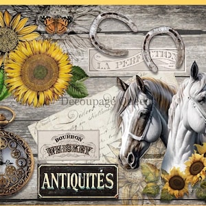 Decoupage Rice Paper ∙Perfect Friends - 0493 - Decoupage Queen Paper  Fall Sunflower, Rustic, Horse Shoe Clock