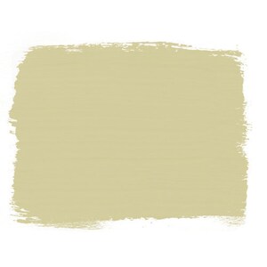 May include: A solid, light green paint swatch with a rough, textured edge.