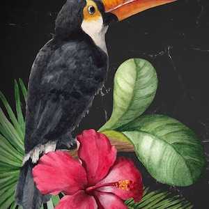 Toucan Decoupage Paper  (Mint by Michelle) - 1.00 Shipping Available