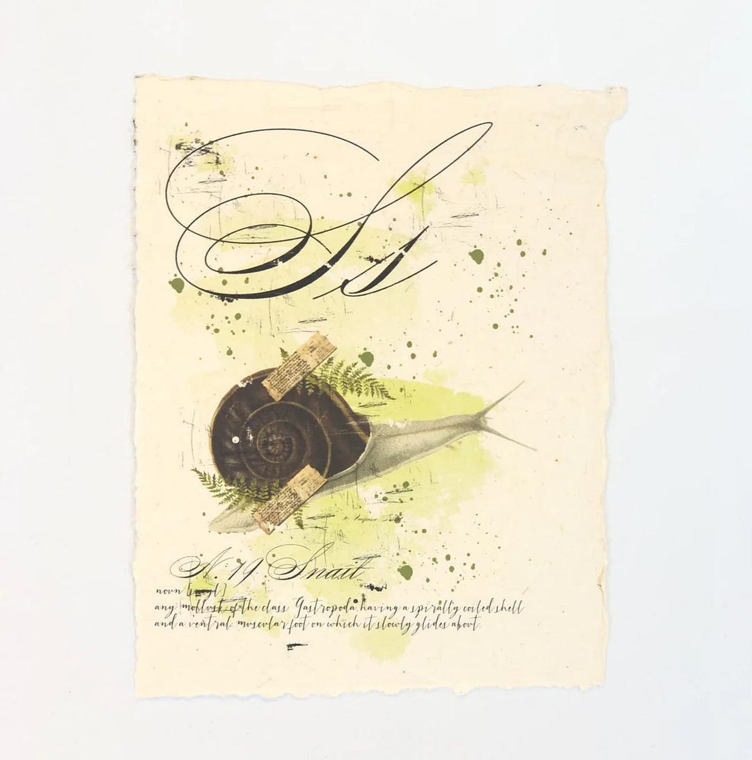 Letter 