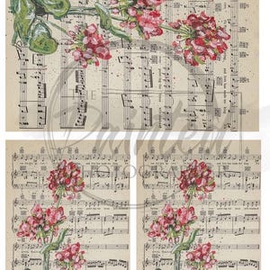 A4 Geranium of Love Multiple  *BONUS SPRING* | Decoupage Rice Paper | 8.5"x11.7" size | Connie’s Designs |