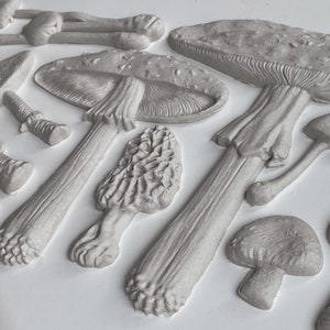 Toadstool - NEW SPRING 2023 - 6x10 Decor IOD Mould mushroom fairy garden - 1.00 shipping available