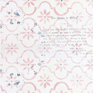 May include: A patterned design featuring repeating pink floral and arched shapes on a white background. The text "The Woods in Spring" is visible. The design has a distressed, vintage aesthetic.