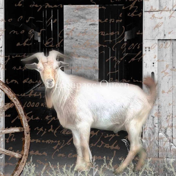 Decoupage Rice Paper-Flippin Furniture- 391- Billy the Goat rustic farmhouse