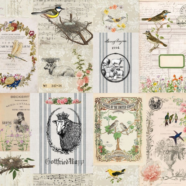 New ! 2024 Large Format Spring Masterboard ROY 180- Roycycled Decoupage Paper Tissue, 20 x 30 inches floral bird sheep floral bird grain