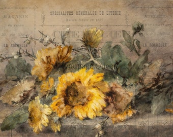 Decoupage Rice Paper ∙Rochelle - 488 - A4 size Decoupage Queen Paper New Fall 2023 Papers Sunflower vintage Floral Rustic