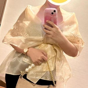Embroidered Piña Organza Filipiniana Panuelo Alampay Shawl Different Colors available