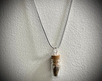 Honeybee Specimen in a jar pendant on a silver 925 necklace