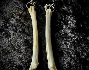 Coyote Leg Bone hypoallergenic 925 sterling silver earrings