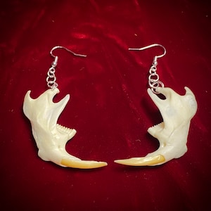Muskrat Jaw Bones hypoallergenic 925 sterling silver earrings
