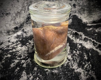 Raccoon Heart Wet Specimen vial oddity jar Trash Bandit heart