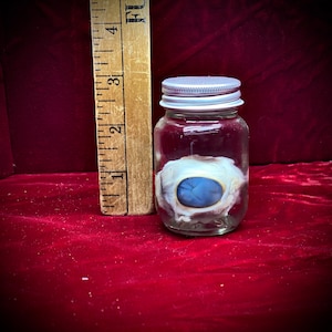May include: A glass jar with a silver lid containing a preserved human eye with a blue iris.