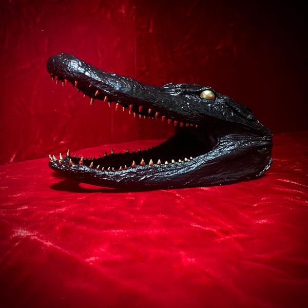 Alligator Head Taxidermy satin black with Gold Teeth and Eyes