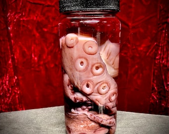 Extra Large Octopus Tentacle Specimen vial oddity jar giant almost 2’ tentacle