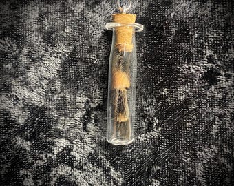 Tarantula Leg Molt Specimen in a jar pendant on a silver 925 necklace