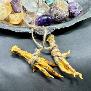 CHICKEN FEET Voodoo Good Luck Charm Black Magic Magick Hoodoo Occult UNCHARGED Hex Protection Spell Santeria Dark Arts