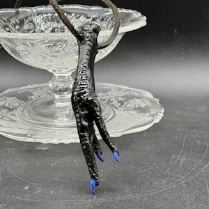 May include: A black pendant necklace featuring a bird's foot with blue painted claws. The pendant hangs from a brown cord. The background includes a clear glass serving dish.