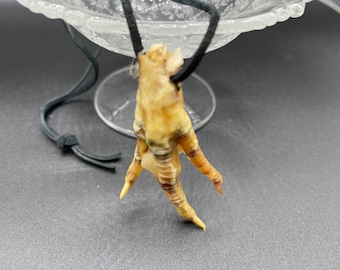 CHICKEN FOOT NECKLACE Black Cord Louisiana Voodoo Hoodoo Protection Uncharged  Hex Spell Good Luck Money Power Fortune amulet Talisman