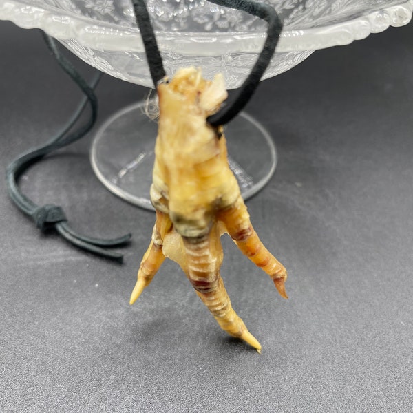 CHICKEN FOOT NECKLACE Black Cord Louisiana Voodoo Hoodoo Protection Uncharged  Hex Spell Good Luck Money Power Fortune amulet Talisman