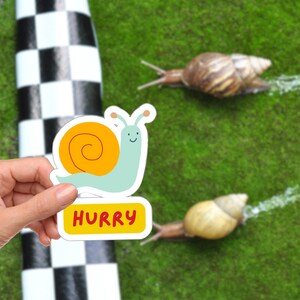 Hurry Snail Sticker: Funny Kiss Cut Vinyl Decal