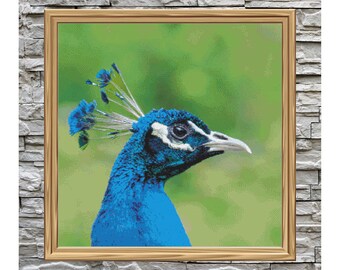 Peacock - cross stitch - Pattern keeper compatible