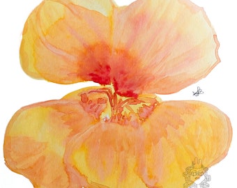 Botanical Art Nasturtium Mastuerzo Flower Watercolor Print Wall Decor Bedroom Living Room Desk Office Artwork  Local Desert Southwest