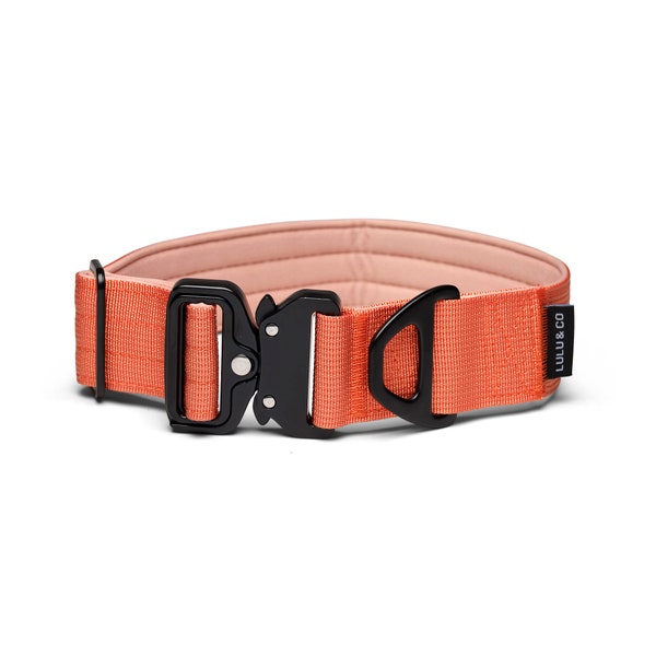 Collier Tactique Premium pour Chien - Orange Corail, 3 ou 4 cm de large