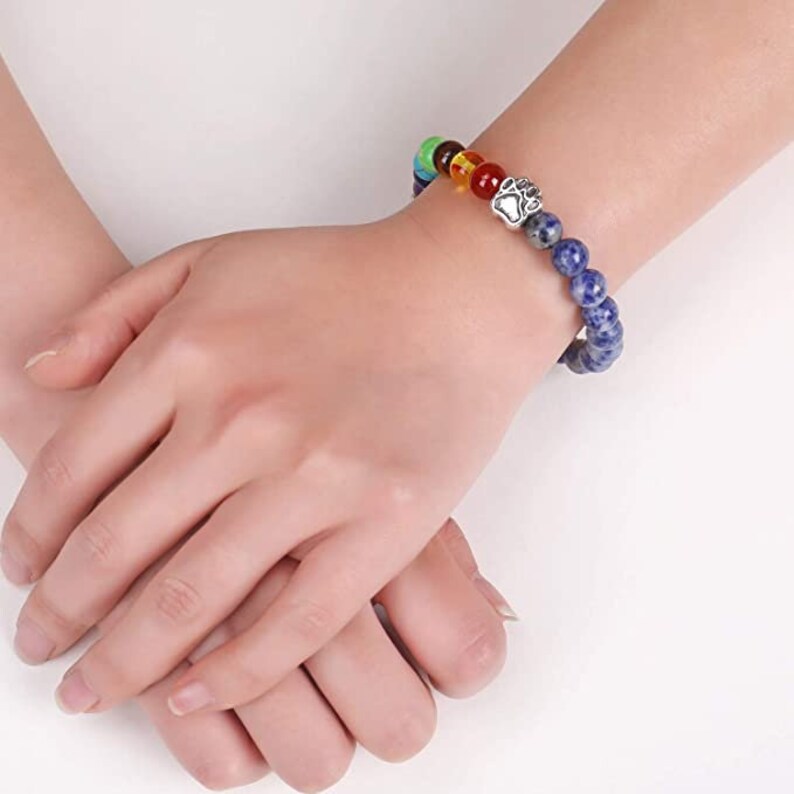 Jadive 9 Pieces Pet Memorial Gifts Set Rainbow Bridge Bracelet Memorial Bracelet Dog Loss Keychain Rainbow Bridge Poem Card With Flannel Organza Bag