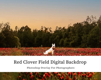 Red Summer Wildflower Clover Field Photoshop Background Overlay