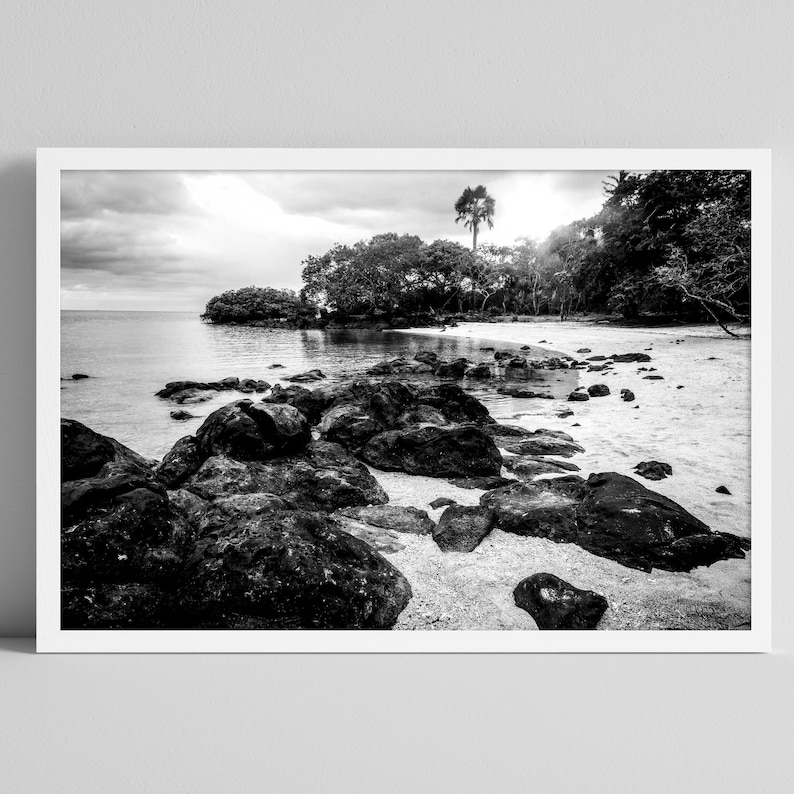 Elegant Black and White Coastal Photo Gallery Wall Photography Etsy