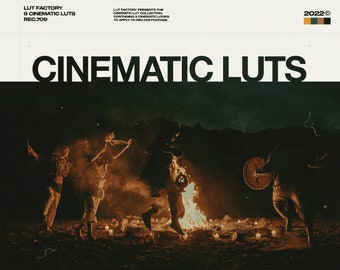 9 filmische Luts van Lut-fabriek