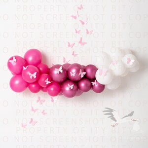 Butterfly Digital Background / Backdrop Pink Cake Smash 1 Year