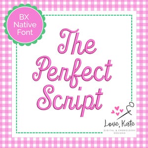 May include: A pink cursive font spells out "The Perfect Script" on a white background, framed by a green dashed border. The background is a pink and white gingham pattern. A pink circle with "BX Native Font" is in the top left corner.