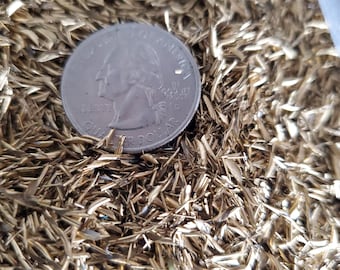 Brass Metal Chips 5# BOX CNC Machined Shavings, Art & Epoxy Projects
